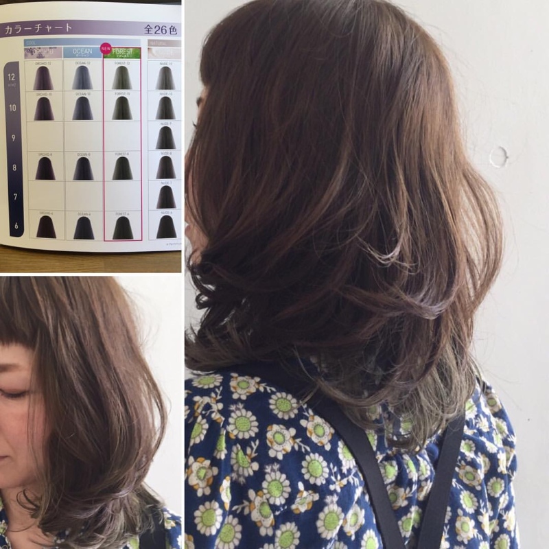 イルミナカラー フォレスト8レベル