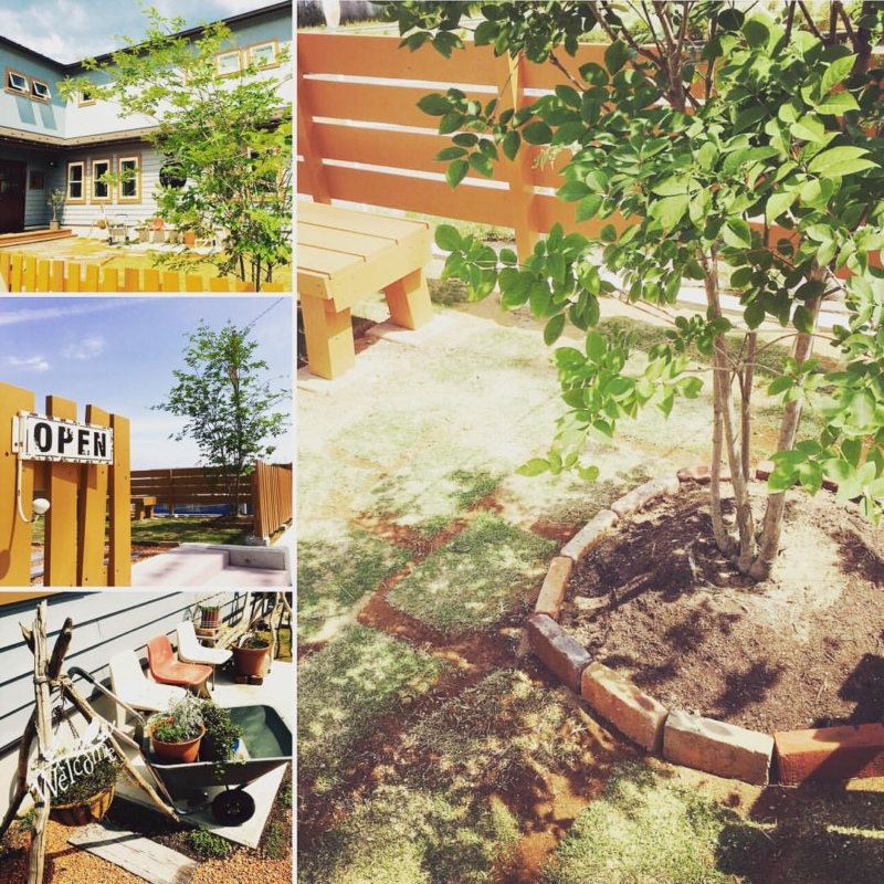 COSMIC★HAIRのシンボルツリー