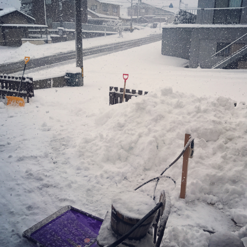 どんだけふるの？！