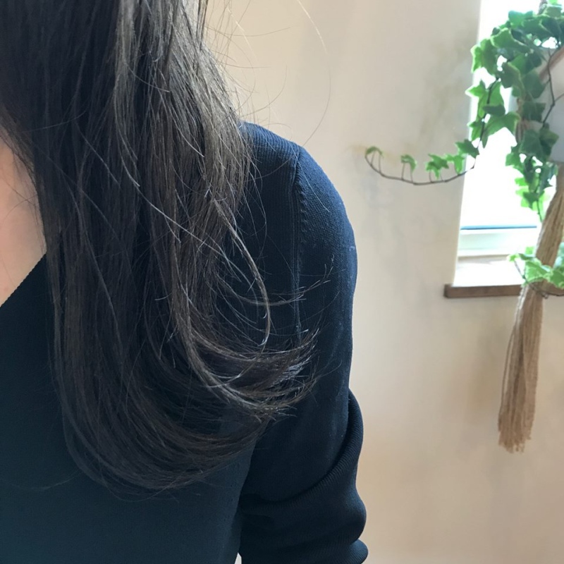 イルミナカラーフォレスト